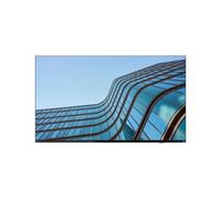 THINVISION E55 VA/UHD/HDMI,DP,USB-C (96W) + USB (1