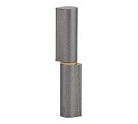 THIRARD - Cerniera per Porta d'Ingresso e Interna da Saldare - Acciaio Zincato - Boccetta in Ottone - Fissaggio con Fori - Uso Pratico - Design Elegante - H.100 mm - Grigio