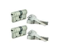 THIRARD - Cilindro Trafic 12 Alta Sicurezza - Set di 2 - Nichel - Ø 30 x 30 mm - 8 Pistoncini - Anti-Strappo, Anti-Perforazione, Anti-Scasso - 10 Chiavi Piatte Reversibili - Grigio