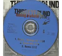 Third Eye Blind - Losing A Whole Year + Remixes Ep