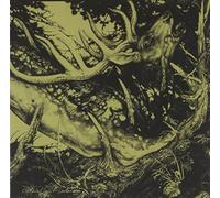 Third Eye Founda The - The Dark