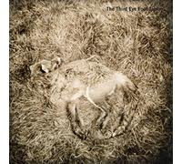 Third Eye Foundation - Semtex (2 Vinyls)