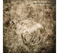 Third Eye Foundation - Semtex by Third Eye Foundation (2016-05-04)
