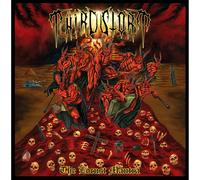 Third Storm The Locust Mantra (CD) Album