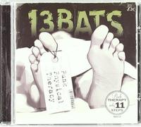 THIRTEEN BATS - PUNK PHYSICAL THERAPY