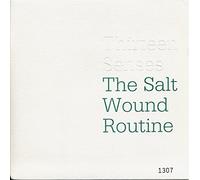 THIRTEEN SENSES - SALT WOUND ROUTINE 7" (VINYL 45) UK VERTIGO 2005