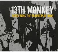 THIRTEENTH MONKEY - REDEFINING THE PARADIGM..