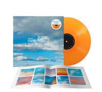 Thirty Seconds To Ma It'S the End of the World But It'S a Beautiful D (Vinyl LP)