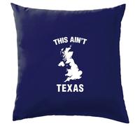 This Ain'T Texas - Cuscino - Ain'T No Holdem Testo Canzone Love Ventola