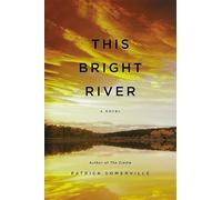 This Bright River: A Novel
