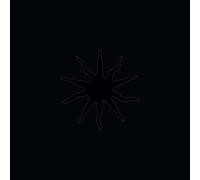 This Immortal Coil The World Ended a Long Time (Vinyl LP)