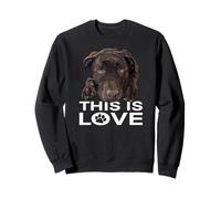 This Is Love Chocolate Lab Dog Labrador Retriever Love Marrone Felpa
