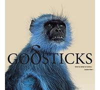 Godsticks This Is What a Winner Looks Like (Vinyl LP) 12" Album