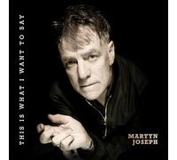 Martyn Joseph This is what I want to say (Vinyl LP) 12" Album