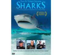 This is Your Ocean: Sharks