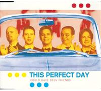 This Perfect Day - Could Have Been Frie