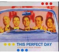 This Perfect Day - Could Have Been Friends / For Real