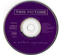 This Picture - A violent impression (1991)