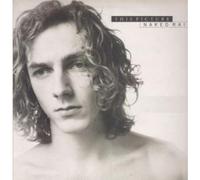 THIS PICTURE - NAKED RAIN 12 INCH (12" VINYL) UK DEDICATED 1991