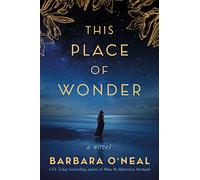 This Place of Wonder: A Novel