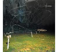 This Stupid World [Amazon限定特典マグネット付 / 解説書・歌詞対訳付き / ボーナストラック収録 / 国内盤CD] (OLE1929CDJP)