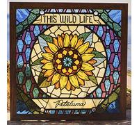 This Wild Life - Petaluma (Trans Pale Blue)