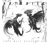 THIS WILL DESTROY US (VINYL) -