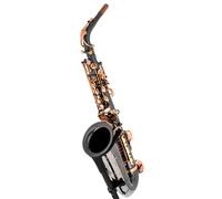 Thomann ASBBG Custom Line Alto Sax