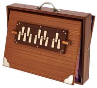 Thomann Nataraj Prof. Shruti G-G 432Hz