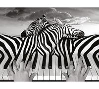 Thomas Barbey Stampa su Tela per Pianoforte, 60 x 80 cm, Multicolore, 24 x 32 Inches