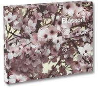 Thomas Demand Ben Lerner Blossom (Copertina rigida)