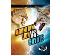 Mountain Lion Vs. Coyote