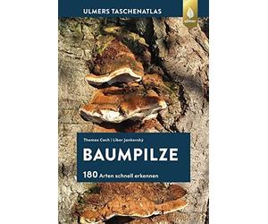 Thomas L. Cech Libor Janko Baumpilze: 180 Arten schnell erke (Copertina rigida)