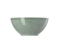 Thomas Loft Colore Muschio Verde Porcellana Stoviglia