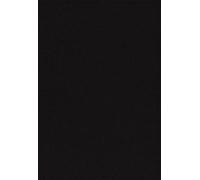 Thomas Nelson NKJV Study Bible, Premium Bonded Leather, B (Rilegato in ecopelle)