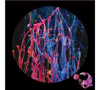 Thomas P. Heckmann - The Lost Tales, Vol. III by Thomas P. Heckmann