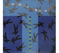 Thomas T. Anderson - Strangers and Other Country Songs