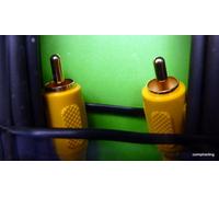 Thomson KBV801G cavo video composito 5 m RCA Nero