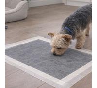Thoogo Traversine assorbenti per cani e gatti 100pz 60x90