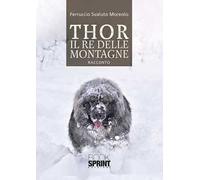 Thor il re delle montagne