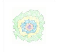 Thorir Georg - I Will die and You Will die and It Will Be Alright