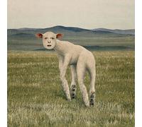 THORNAPPLE [ANIMAL] EP Album CD + Libretto K-POP SIGILLATO