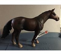 Thoroughbred