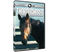 Thoroughbred: Born to Run