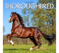 Thoroughbred Horse Calendar 2027: Thoroughbred Horses and Equestrian Scenes