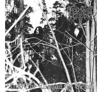 into the woods of belial (2 cd)