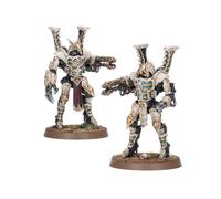 Thousand Sons: Sekhetar Robots | Box 2