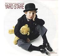 Thousand Yard Stare - Version Of Me