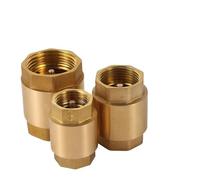 Thread In-Line Spring for Water Control 1/2" 3/4" 1" 2" DN15 DN20 DN25 Anti Backflow One-Way Valve Irrigation Aquarium System(DN25 G1)