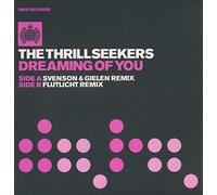 Thrillseekers, the - Dreaming of You Pt 1